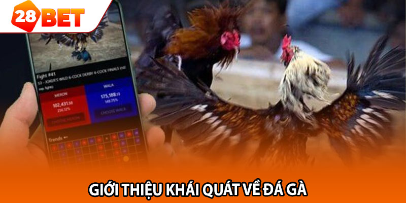 Giới thiệu khái quát về đá gà 